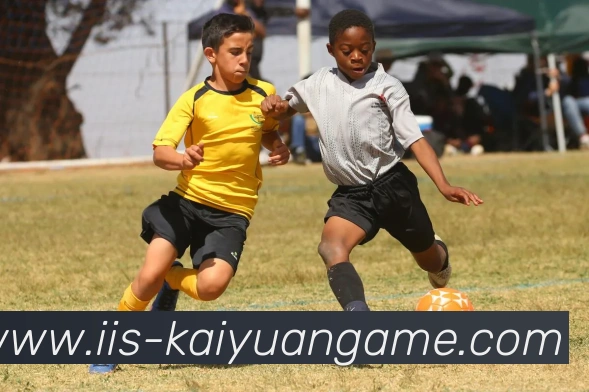 数据防护可视化